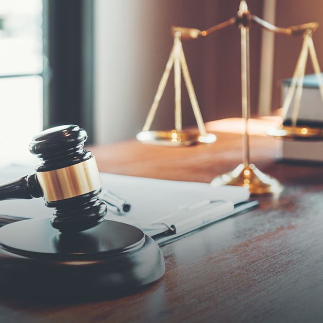 Customized Legal Strategies